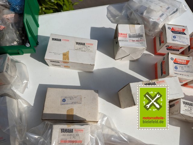 PXL_20240527_145517792